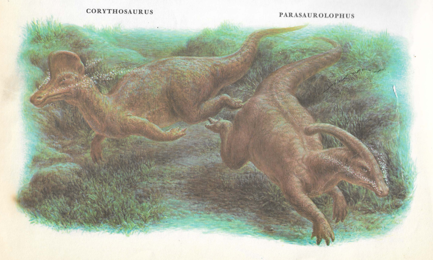 two lambeosaurs, swimming