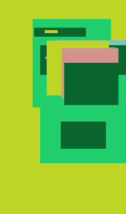 Night Light Flip Flop