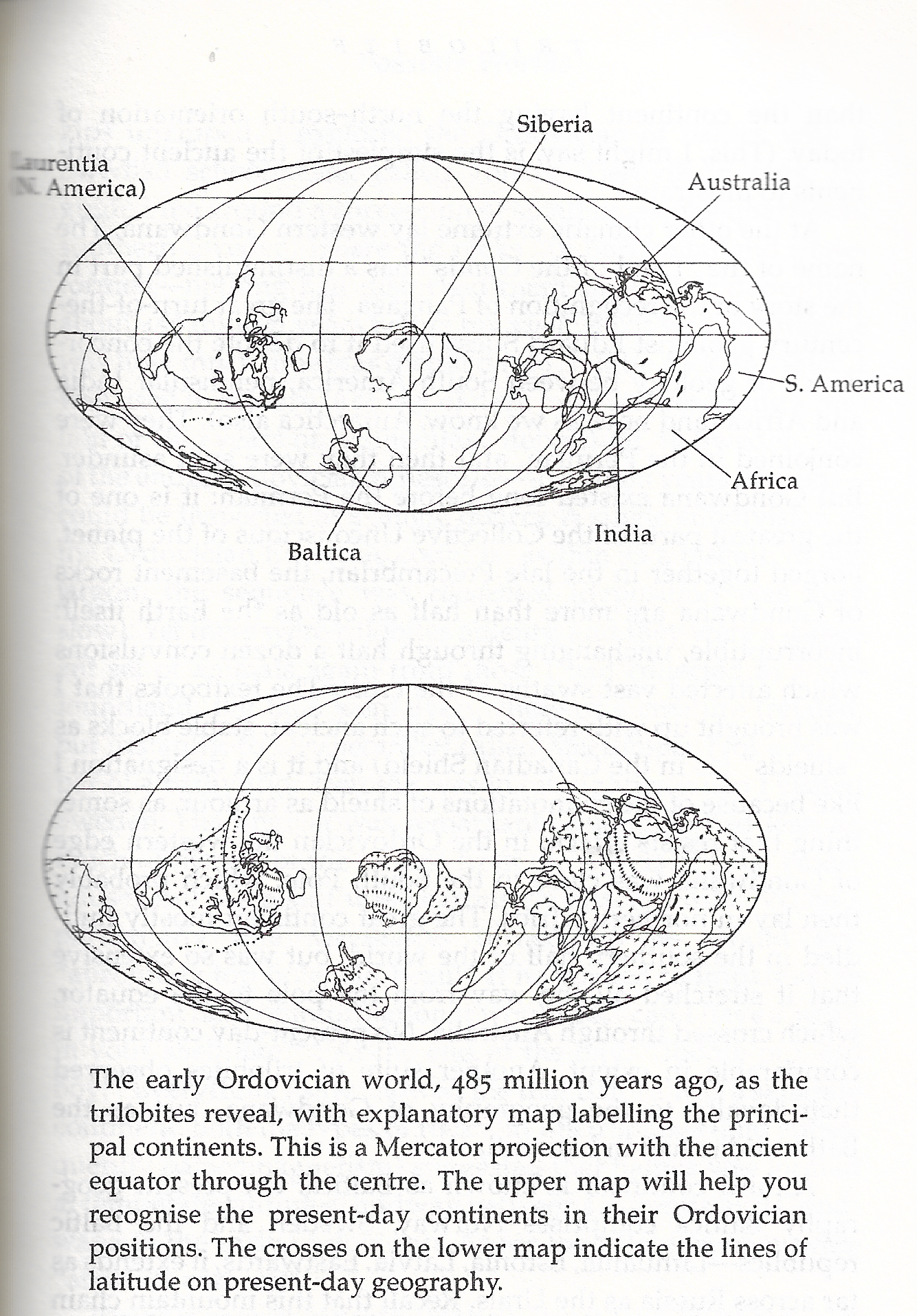 Reasonable guess at an Ordovician globe projection