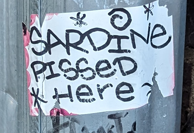 Sardine, Denizen of Downtown Denver