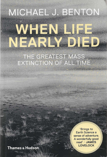 When Life Almost Died paperback cover